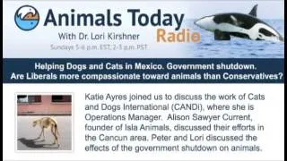 Helping Dogs and Cats in Mexico. Government Shutdown.