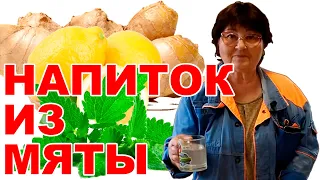 Освежающий напиток-лимонад из мяты, лимона, имбиря и мёда