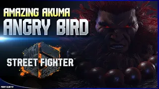 Angry Bird (Akuma) ➤ Street Fighter 6