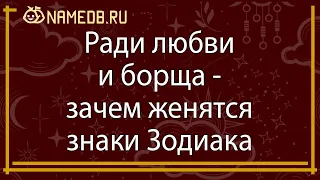 Ради любви и борща - зачем женятся знаки Зодиака