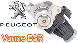 Nettoyage vanne EGR peugeot 1 6 ehdi ( 207,208,308,2008,3008...)