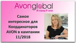 Самое интересное для координаторов в 11 кампании 2018