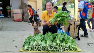 Harvest green vegetables to go to the market to sell | Take care of pets | Ly Thi Tam