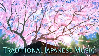 Traditional Japanese Music - Beautiful Music for Studying, Healing, Japanese Instrumental Music