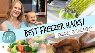 BEST way to freeze food & organize your deep freezer!