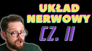 Układ nerwowy 2 Rdzeń kręgowy i Obwodowy układ nerwowy. Druga część opowieści o układzie nerwowym!