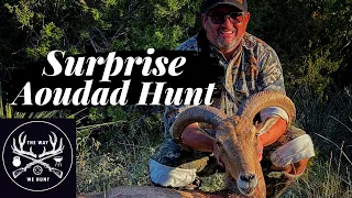 Surprise Aoudad Hunt for a friend at the 345 Exotic Game Ranch!