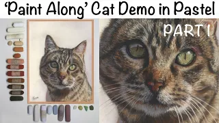 'Paint Along' Cat Demo in Soft Pastel PART 1