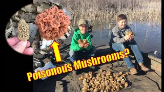 Morel Mushroom Hunting! {Gather Clean Cook}