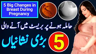 5 Big Changes in Breast During Pregnancy |5 Early Pregnancy Symptoms in Breast |Pregnancy |Breast