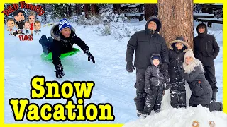 TRIP to BIG BEAR LAKE CA. | SNOW PLAY | SLEDDING | D&D FAMILY VLOGS