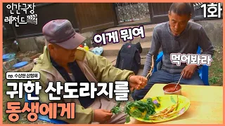 [인간극장 레전드 #309-1] 귀한 산도라지 | 수상한 삼형제(1/2) [KBS 110613-110617 방송]