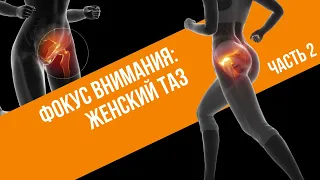 Фокус внимания: женский таз. Часть 2.