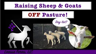 Raising Sheep and Goats OFF Pasture:  Dry Lot?  What You Need to Consider!