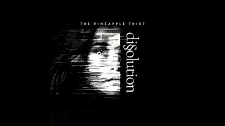 The Pineapple Thief - Shed A Light (5.1 Surround Sound)