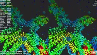 DNA Dendrimer