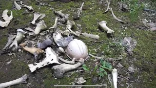 We Find The Remains Of The Chernobyl Giant