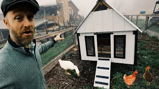 Finally, a pretty Chicken Coop for the Front Yard (mobile)