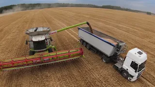 Javapjūtė 2 dalis // Harvesting // Lithuania 2021