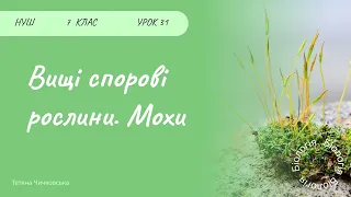 Мохоподібні