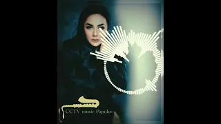 Krisdayanti - Penantian