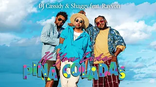 DJ Cassidy & Shaggy ft. Rayvon - If You Like Pina Coladas | Official Audio