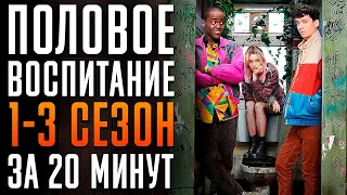 Половое воспитание 1-3 сезон за 20 минут. Netflix