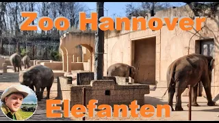 Die Elefantenhaltung im Erlebnis-Zoo Hannover  #elefant #zoo #hannover