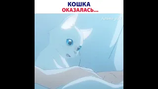 Кошка оказалась