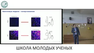 Роль митохондриальной дисфункции в развитии сахарного диабета Белослудцев Константин Николаевич