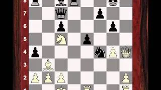 Sicilian Dragon Grandmaster Game:  Sergey Karjakin vs Van Wely - Tata Steel (2013) (Chessworld.net)