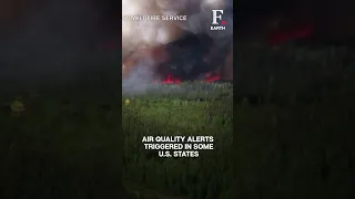 WATCH: Uncontrollable Wildfires Ravage Vast Swathes Of Land In Canada | Firstpost Earth