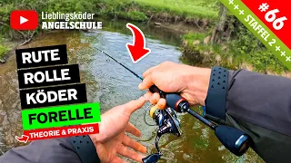 Die passende Angelausrüstung zum Forellenangeln 🐟 😍 🎣