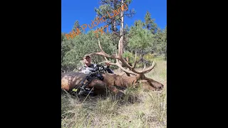 2022 New Mexico Public Land Elk Hunt