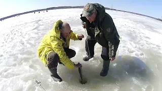 Белоярка 2022г., весенняя рыбалка по последнему льду.