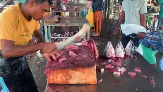 Fastest Tuna Fish Cutting | Fish Cutting Skills Sri Lanka