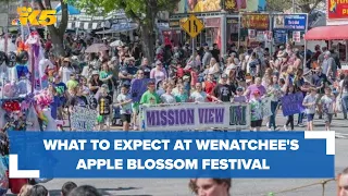 Wenatchee's Apple Blossom Festival promises history, blossoms and brews