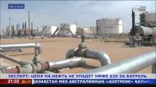 Цена на нефть не упадет ниже $30 за баррель – эксперт