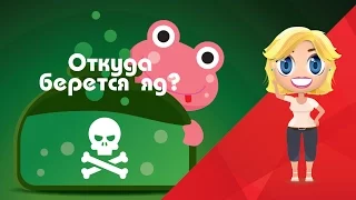 Узнать за 90 секунд Откуда у животных яд? - Развивающие мультфильмы Познавака (32 серия, 1 сезон)