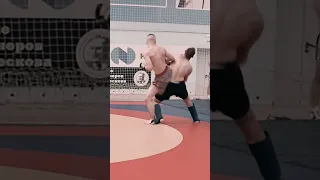 🔥Combat sambo knockout #hightlight #knockout #backkick