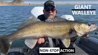 TIPS and TRICKS on Locating and Catching MONSTER FORT PECK WALLEYE