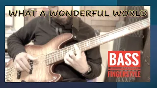 WHAT A WONDERFUL WORLD / SOLO BASS COVER / CHORD MELODY / SIRE V10DX