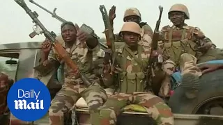 Chad and Niger troops retake town from Boko Haram - Daily Mail