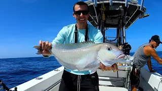 Daytime Deep Drop for Tilefish (Underwater Footage)