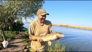 Рыбалка на карпа на Днестре на первой яме в середине октября