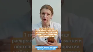 Роды. 1 период родов. Рассказывает врач акушер-гинеколог ЦИР Дементьева С.Н. #цир #акушерство #роды