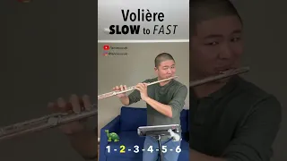 "Volière" Flute Solo SLOW to FAST (“The Aviary”)
