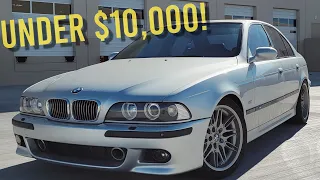 BUYING AN E39 M5 UNDER $10,000! (Buyers Guide & What To Keep In Mind)