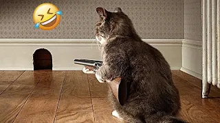 🐱🐶 Best Cats and Dogs Videos 🙀😸 Funniest Animals #9