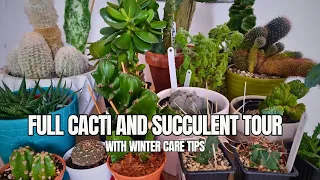 Cacti and Succulent | Full Collection and Care Tips